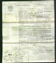 Court of Common Pleas - Rebecca Luck-Original Ancestry