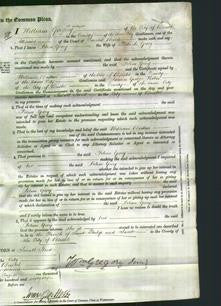 Court of Common Pleas- Polino Gorey-Original Ancestry