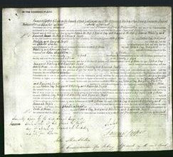 Court of Common Pleas - Sophia Day, Margaret Whiteley and Hannah Ingle-Original Ancestry