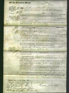 Court of Common Pleas - Caroline Stone-Original Ancestry