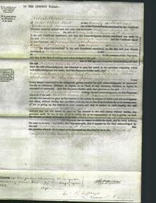 Court of Common Pleas - Susan de St Sauveur-Original Ancestry