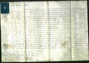 Court of Common Pleas - Ann Webb-Original Ancestry