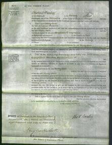 Court of Common Pleas - Mary Ann Palmer-Original Ancestry