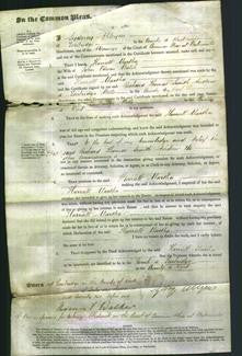 Court of Common Pleas - Harriett Martha Walsh-Original Ancestry