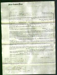 Court of Common Pleas - Mary Dand-Original Ancestry