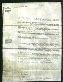 Court of Common Pleas - Jemima Puddefoot-Original Ancestry