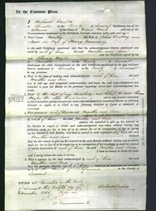 Court of Common Pleas - Martha Luckery and Jane Manning-Original Ancestry