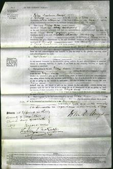 Court of Common Pleas - Eliza Ann Andrews-Original Ancestry