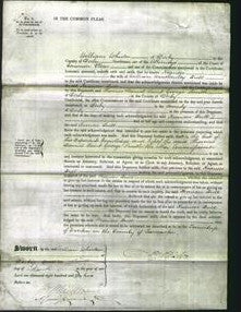 Court of Common Pleas - Frances Hull-Original Ancestry