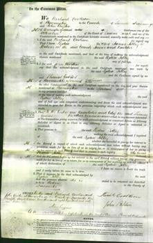 Court of Common Pleas - Lydia Tilley-Original Ancestry