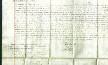 Court of Common Pleas - Alice Mayor-Original Ancestry