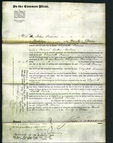 Court of Common Pleas - Elizabeth Frances Maclean-Original Ancestry