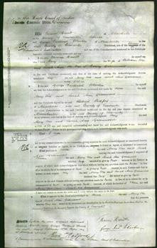 Court of Common Pleas - Mary Vase and Sarah Ann Greenwood-Original Ancestry