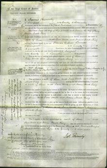 Court of Common Pleas - Jane Woods and Marion Meade-King-Original Ancestry