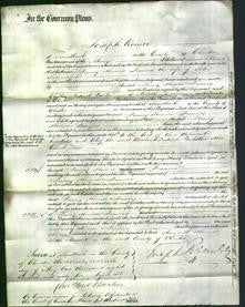 Court of Common Pleas - Fanny Frances Summerfield-Original Ancestry