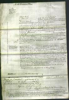 Court of Common Pleas - Catherine Lloyd-Original Ancestry