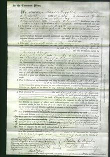 Court of Common Pleas - Elizabeth Mary Marsh MacDonald-Original Ancestry