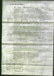 Court of Common Pleas - Esther Blackburn-Original Ancestry