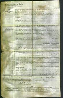 Court of Common Pleas - Margaret Watson-Original Ancestry