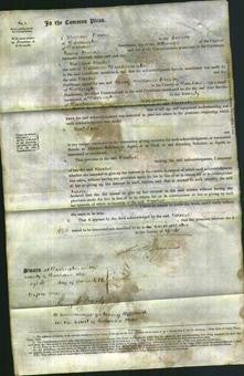 Court of Common Pleas - Rachel Duckmanton-Original Ancestry