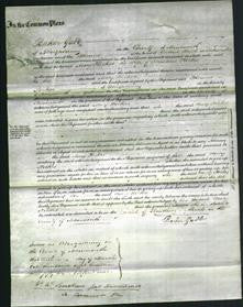 Court of Common Pleas - Mary Hickes-Original Ancestry