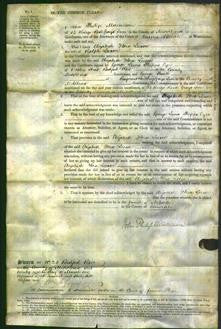 Court of Common Pleas - Elizabeth Flora Leeson-Original Ancestry