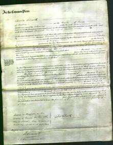 Court of Common Pleas - Elizabeth Dancey-Original Ancestry