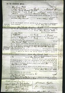Court of Common Pleas - Mary Hannah Kitch-Original Ancestry
