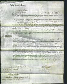Court of Common Pleas - Ann Jefferies-Original Ancestry