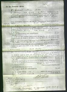 Court of Common Pleas - Martha Kingston-Original Ancestry