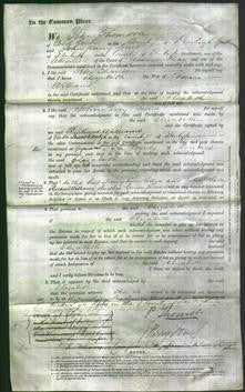 Court of Common Pleas - Elizabeth Williams-Original Ancestry