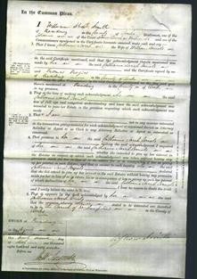 Court of Common Pleas - Catherine Sarah Arnold-Original Ancestry