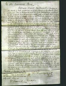 Court of Common Pleas - Elizabeth Pilcher-Original Ancestry