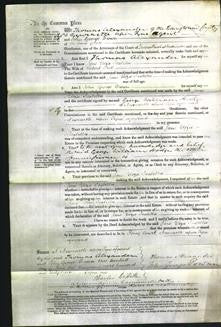 Court of Common Pleas - Jane Eliza Isabella Fell-Original Ancestry