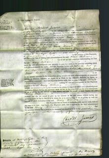 Court of Common Pleas - Mary Williams-Original Ancestry