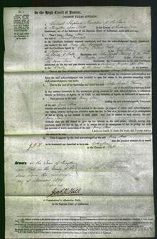 Court of Common Pleas - Mary Ann Coverdale-Original Ancestry