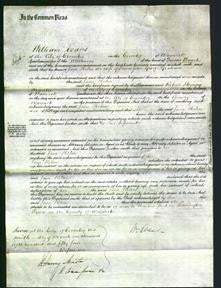 Court of Common Pleas - Jane Helen Graham-Original Ancestry