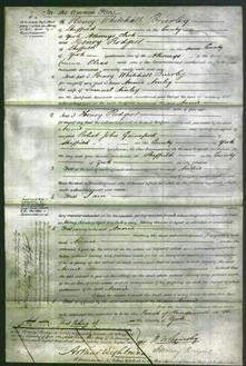 Court of Common Pleas - Annie Ainley-Original Ancestry