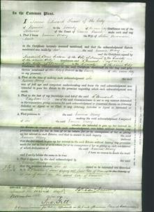 Court of Common Pleas - Emma Mary Waite