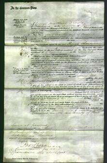 Court of Common Pleas - Mary Eley Simmons-Original Ancestry