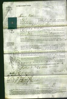 Court of Common Pleas - Eleanor Johnson-Original Ancestry