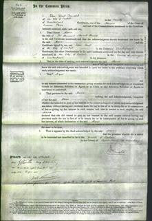 Court of Common Pleas - Maria Brown-Original Ancestry