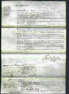 Court of Common Pleas - Agnes Snape-Original Ancestry