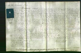 Court of Common Pleas - Ann Johnson-Original Ancestry