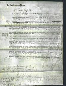 Court of Common Pleas - Mary Ann Gardner-Original Ancestry