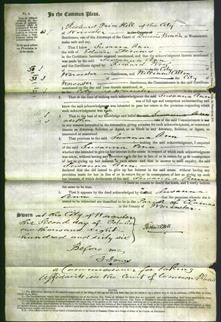 Court of Common Pleas - Susanna Ann Timms-Original Ancestry