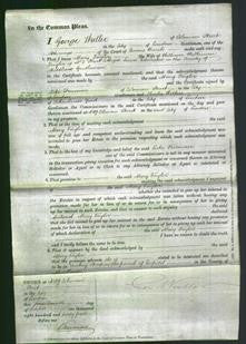 Court of Common Pleas - Mary Taylor-Original Ancestry