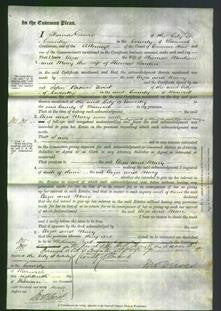 Court of Common Pleas - Eliza Moxham and Mary Warden-Original Ancestry