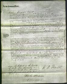 Court of Common Pleas - Sarah Pennington Owen-Original Ancestry