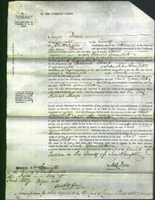 Court of Common Pleas - Jane Gauntlett-Original Ancestry
